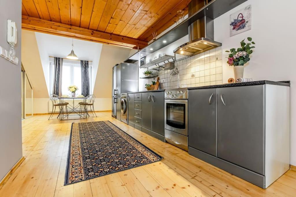 Utulny A Prostorny Podkrovni Byt S Krbovymi Kamny Ceske Budejovice Bagian luar foto