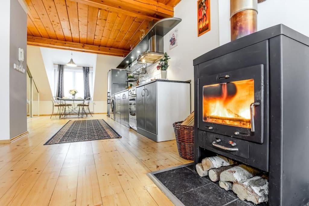 Utulny A Prostorny Podkrovni Byt S Krbovymi Kamny Ceske Budejovice Bagian luar foto